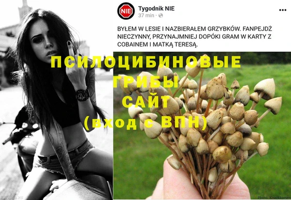меф Балахна